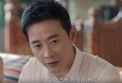 电视剧归去来大结局,命运交织，终章揭秘，爱恨情仇终成空